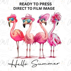 Pink Flamingo Summer DTF Transfer, Hello Summer, Design Ready To Press, Pink Pool Party Shirt Design Heat Transfer, Vacation Mode