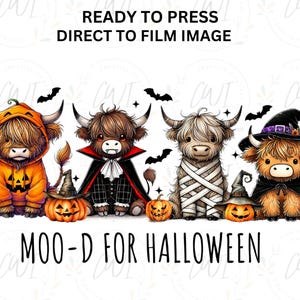 Halloween Highland Cow DTF Transfer, MOO D For Halloween, Bates, Pumpkin, Fall Seasonal, DTF Prints,  Image Transfer, Direct To Film