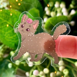 Transparent sticker - Cactus kitty cat