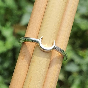 Pode incluir: Um anel prateado com um design de lua crescente. O anel está sobre talos de bambu castanhos claros, com um fundo verde desfocado. A banda do anel tem uma aparência texturizada, semelhante a um galho.