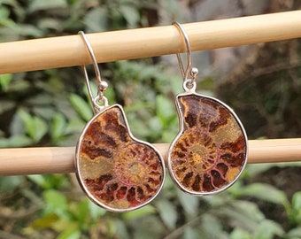 Ammonite Fossil Silver Earrings - Handmade Dangle, Unique Ocean Inspired Jewelry, Sterling Silver Ear Wire, Handcrafted Sea Lover Jewelry