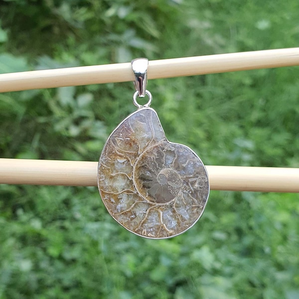 Large Ammonite Fossil Pendant for Men Women Sterling Silver Fossil Jewelry Large Stone Shell Pendant Rare Find Energy Healing Gift Jewelry