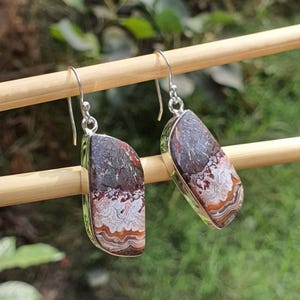 May include: A pair of dangle earrings featuring polished, semi-circular stones with intricate, layered banding in shades of deep brown, rust, cream, and white. The stones are set in silver-toned metal frames and hang from simple silver-toned wire hooks.