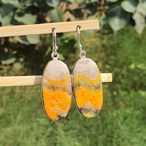 May include: Oval-shaped earrings with a silver hook. The earrings feature a natural stone with a pattern of yellow, orange, gray, and white. The stone is set in a silver bezel. The earrings are displayed against a green background.