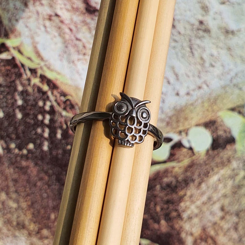 May include: A silver-toned owl ring. The ring features a detailed owl design with large eyes and a textured body. The ring is displayed on a bundle of light brown wooden sticks against a blurred background of green and brown.
