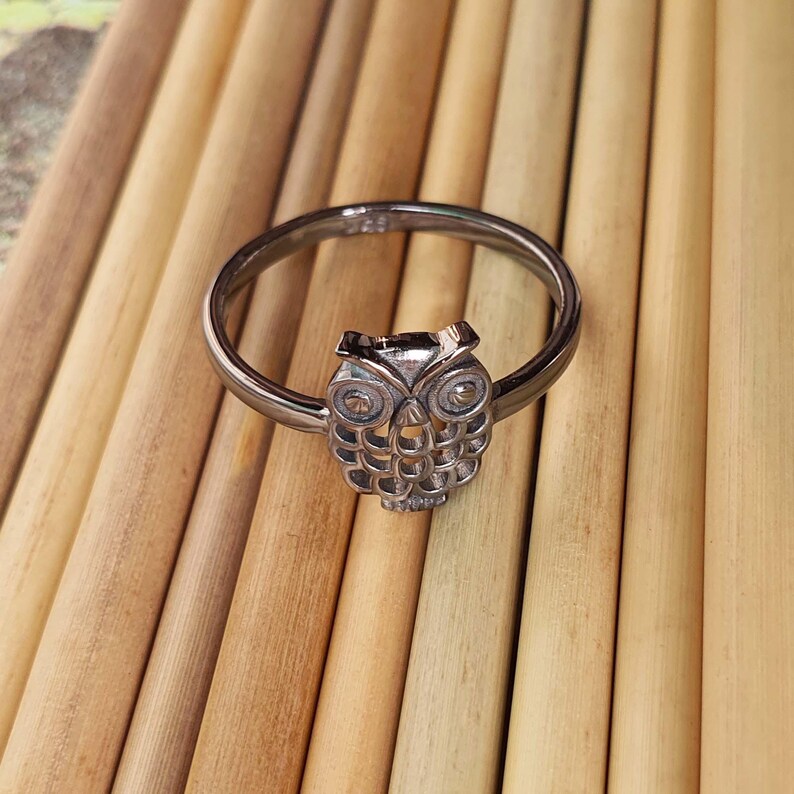 May include: A silver-colored ring featuring an owl design. The owl has detailed features, including large eyes and a textured body. The ring is set against a background of light brown wooden sticks.