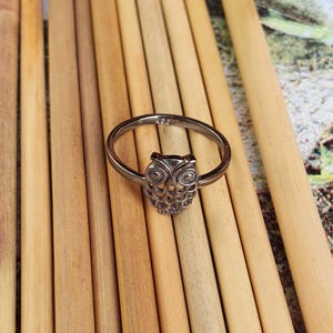 May include: A silver-colored ring featuring an owl design. The owl is detailed with etched feathers and facial features. The ring is set against a backdrop of light brown bamboo sticks, creating a natural contrast.
