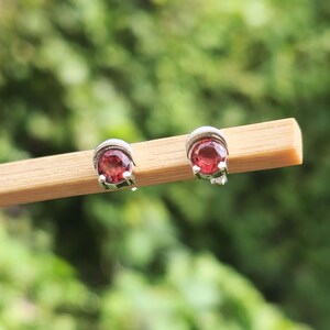 May include: Two stud earrings with round, deep red gemstones set in silver-coloured metal. The earrings are displayed on a light brown wooden stick against a blurred green background, highlighting the jewellery's vibrant colour and design.