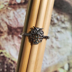 May include: A silver-colored ring featuring a detailed owl design. The owl has large, round eyes and a textured body. The ring is set against a backdrop of wooden dowels and a blurred background.
