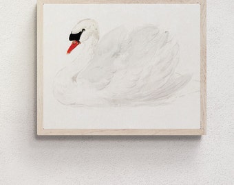 May include: A framed watercolor painting of a white swan with a red beak and black eyes. The swan is swimming in a body of water, and the background is a light blue.