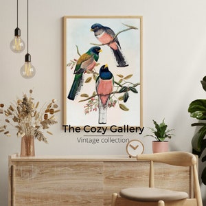 Birds vintage oil painting, colored birds rustic farmhouse printable decor, Animal farms antique digital art printable