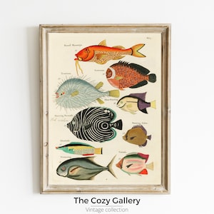 Colourful and surreal illustrations of fishes found in Indonesia and the East Indies, PRINTABLE ART Nautical Ocean nursery decor kids boys