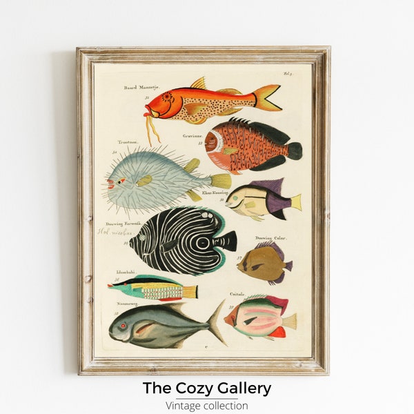 Colourful and surreal illustrations of fishes found in Indonesia and the East Indies, PRINTABLE ART Nautical Ocean nursery decor kids boys