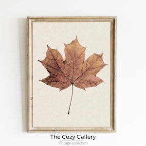 Maple Leaf Vintage Printable art, Neutral fall leaf rustic decor, Autumn Print for wall decor, Maple leaf drawing vintage