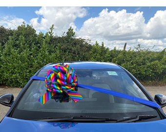 Giant Bow For New Car, Big Rainbow Gift Bow (42cm)
