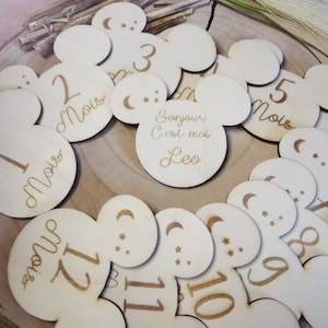 Maandelijkse mijlpaalkaart in de vorm van een teddybeer voor pasgeboren foto's, het perfecte cadeau