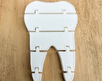 3d printed tooth, 3d printed fidget, tooth fairy gift, dentist gift, hygienist gifts, dental assistant gifts, molar tooth gift for dentist