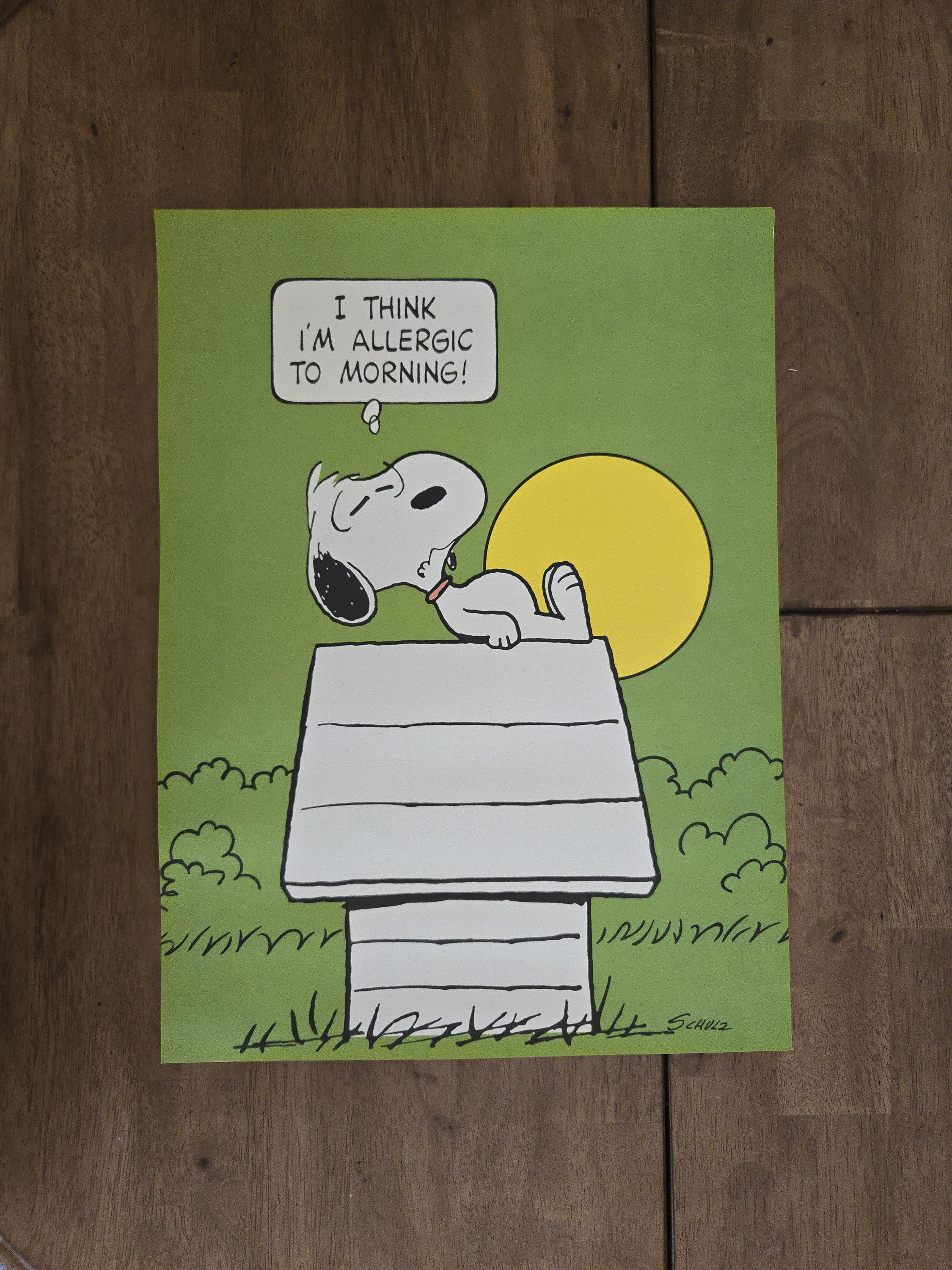 Vintage Snoopy Poster in 14x19 Poster 1958, I Think I Am