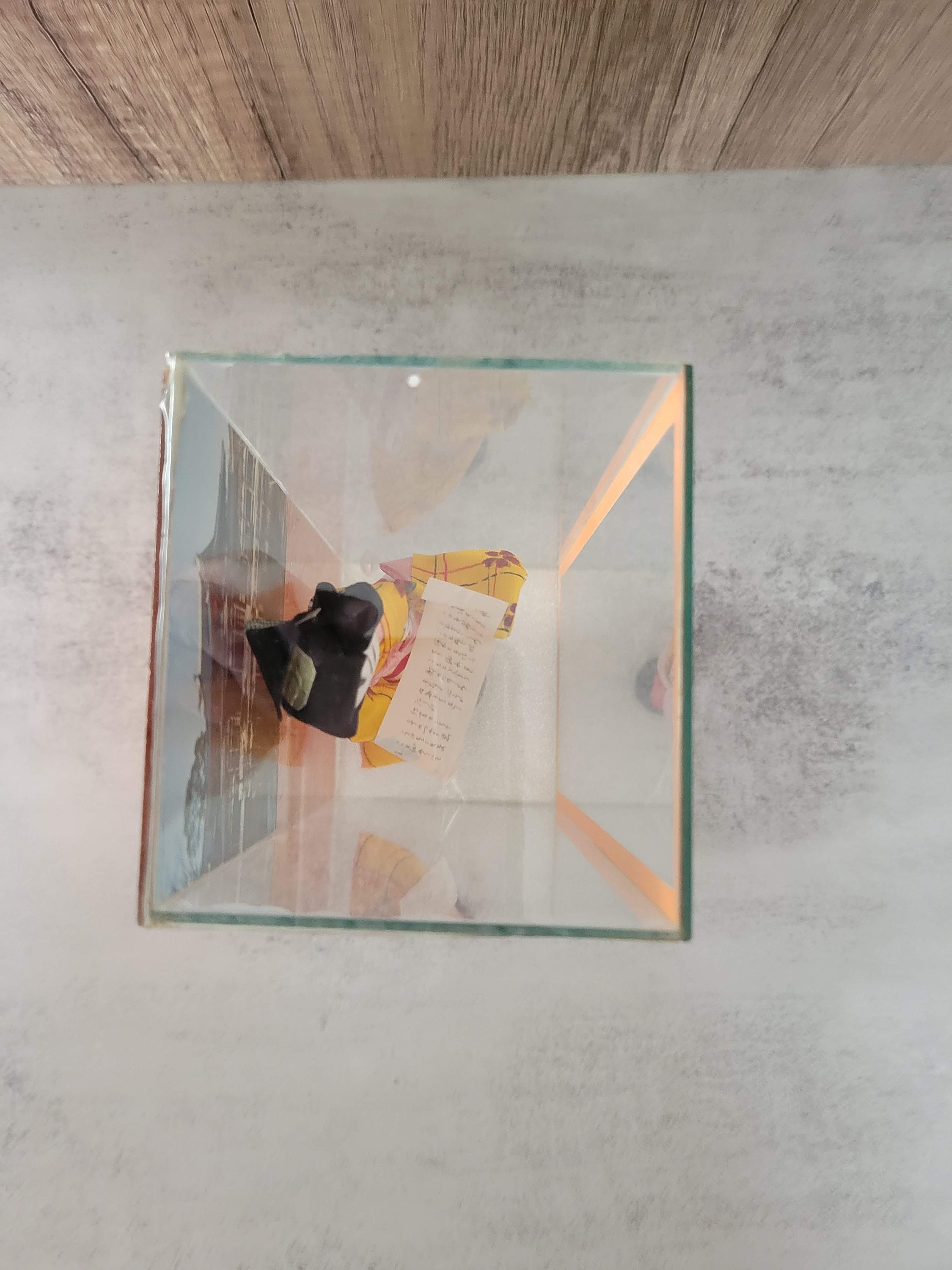 Rare Vintage 1960's Geisha Doll in Glass Case With Mirrored Edge