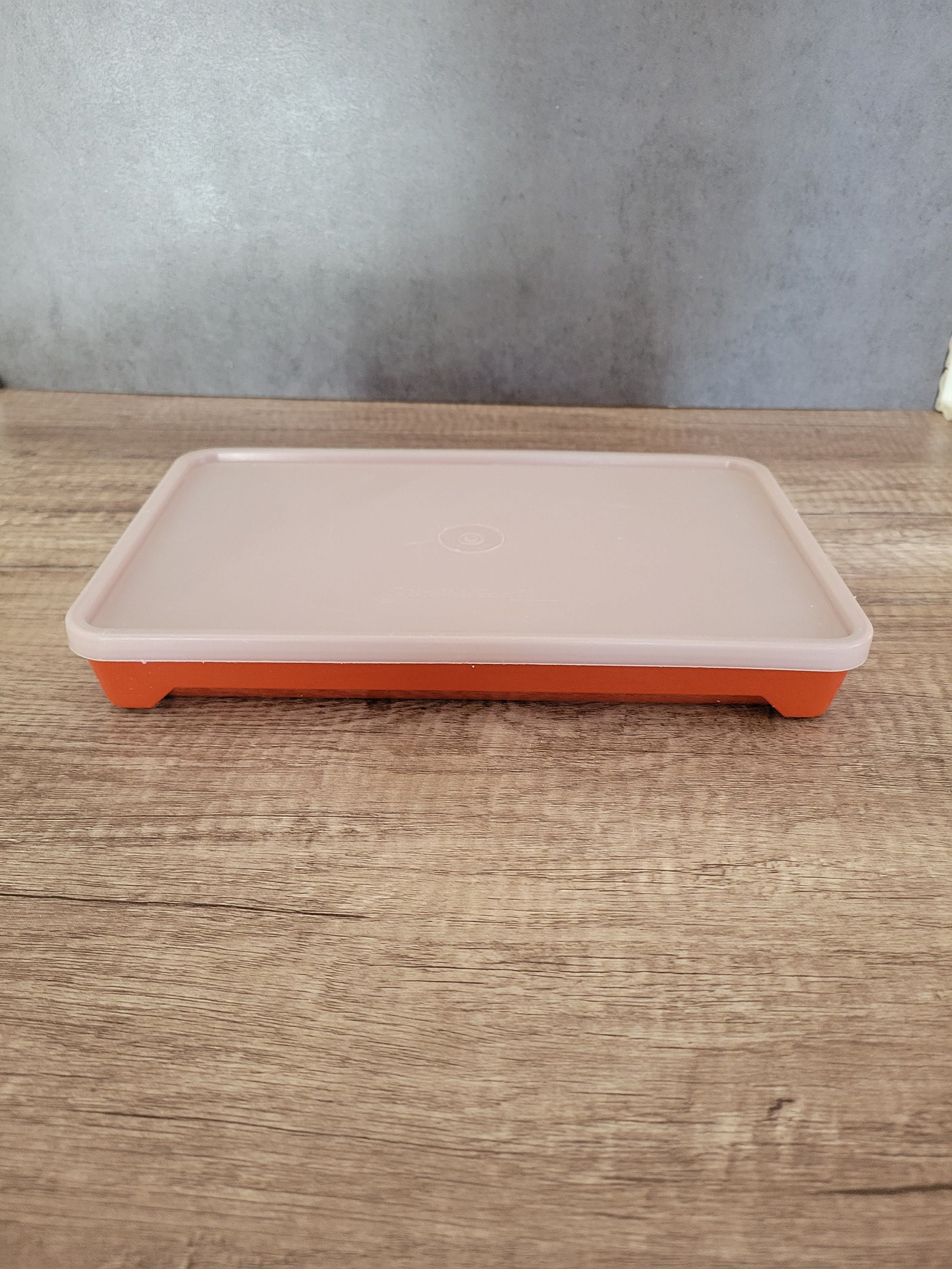 Tupperware Grand contenant de marinade de service de saison Paprika Orange  Plastique Plat de conservation des aliments Viande Keeper Pique-niques BBQ  Griller RV Collectible -  France