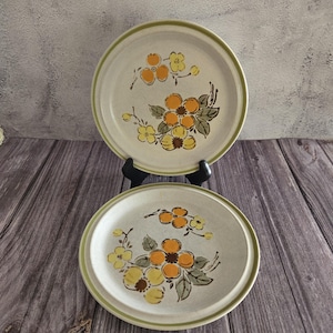 Set of 2 Harvest Collection Handpainted Stoneware Mountain Flowers Small Salad Plate 8&quot;, Oven to Table Vintage, Tableware, Kitchen Decor MCM