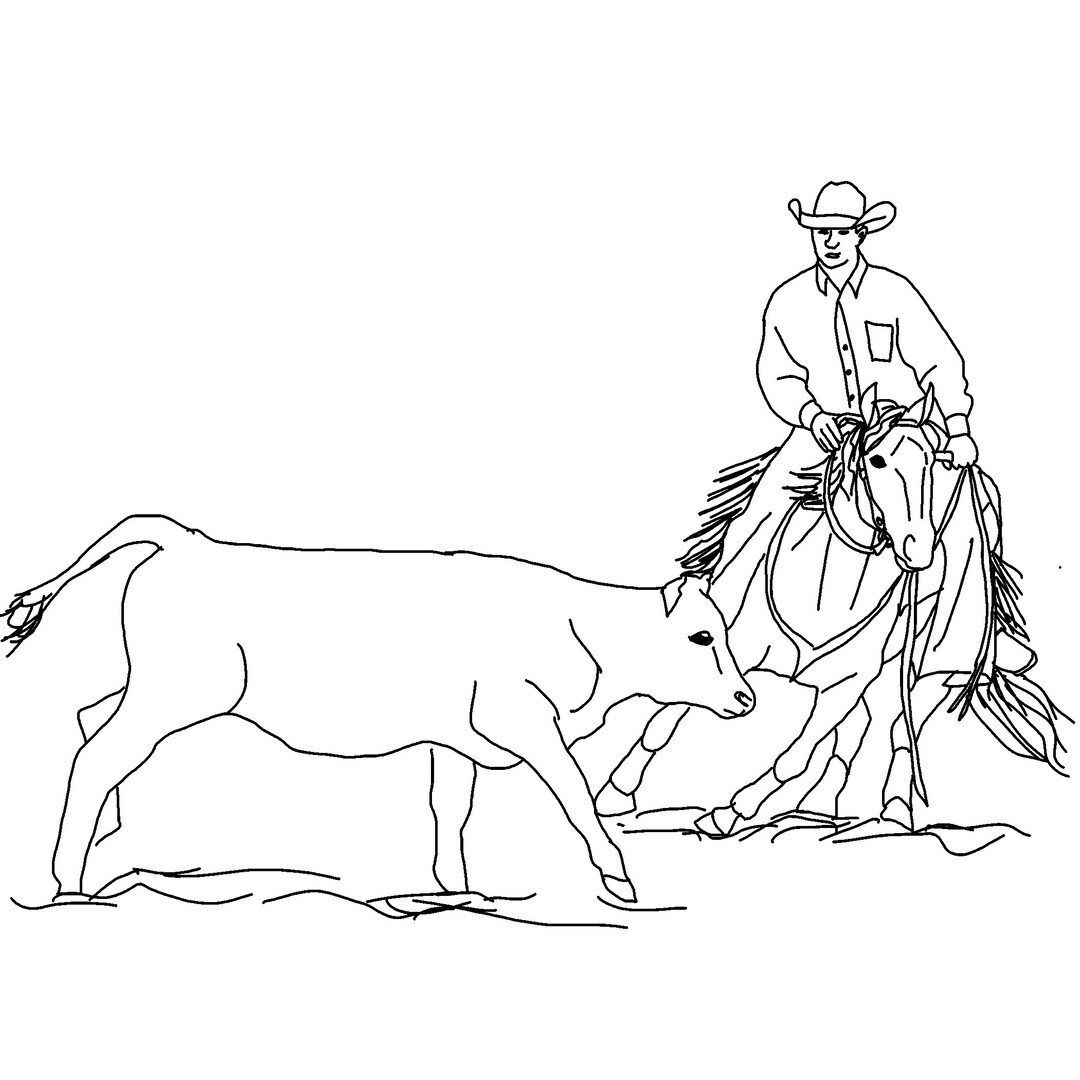 Horse Cutting Cow Cutting Horse Cow Horse Western Horse Etsy