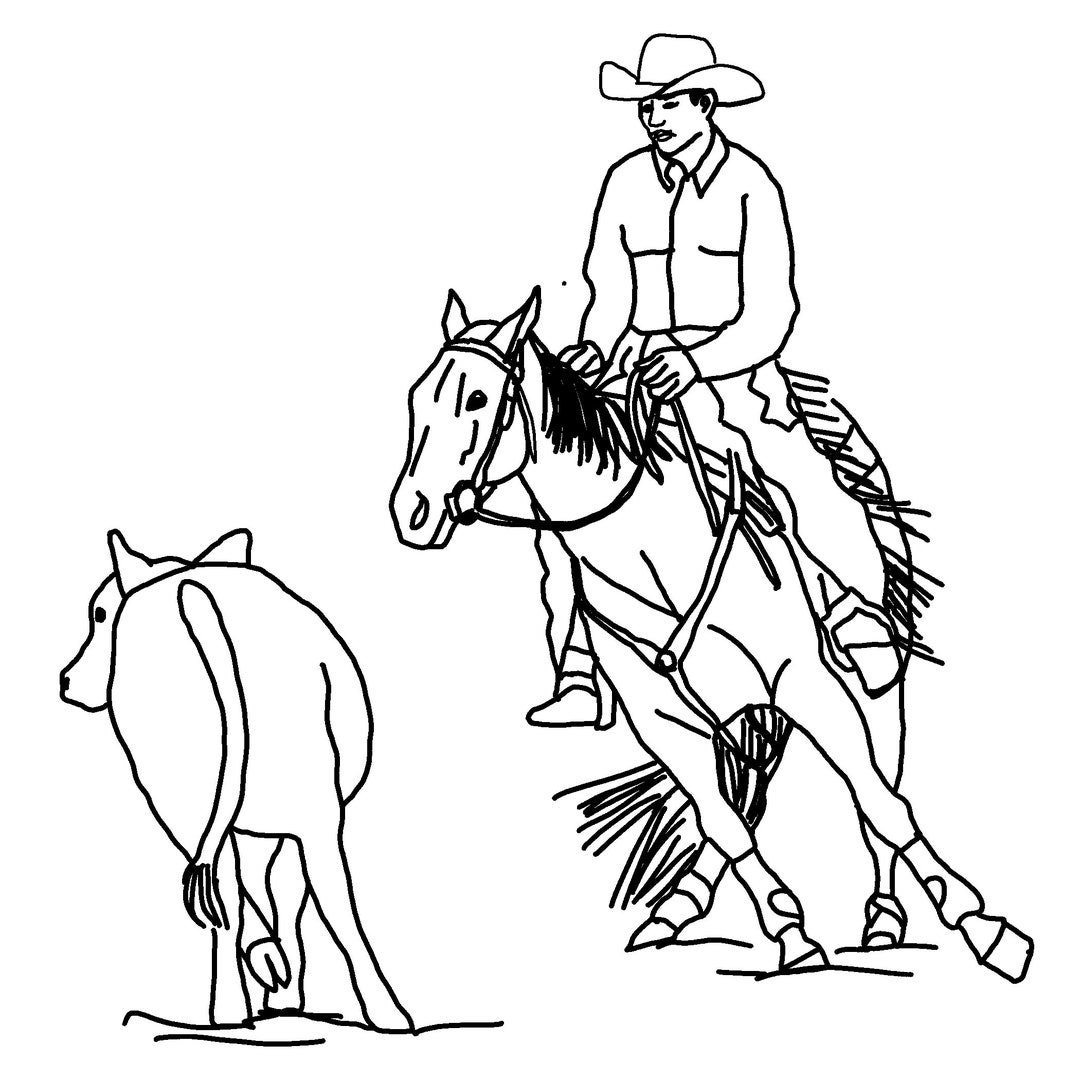 Cutting Horse and Cow, Cutting Horse Drawing, Horse and Cow, Cowboy