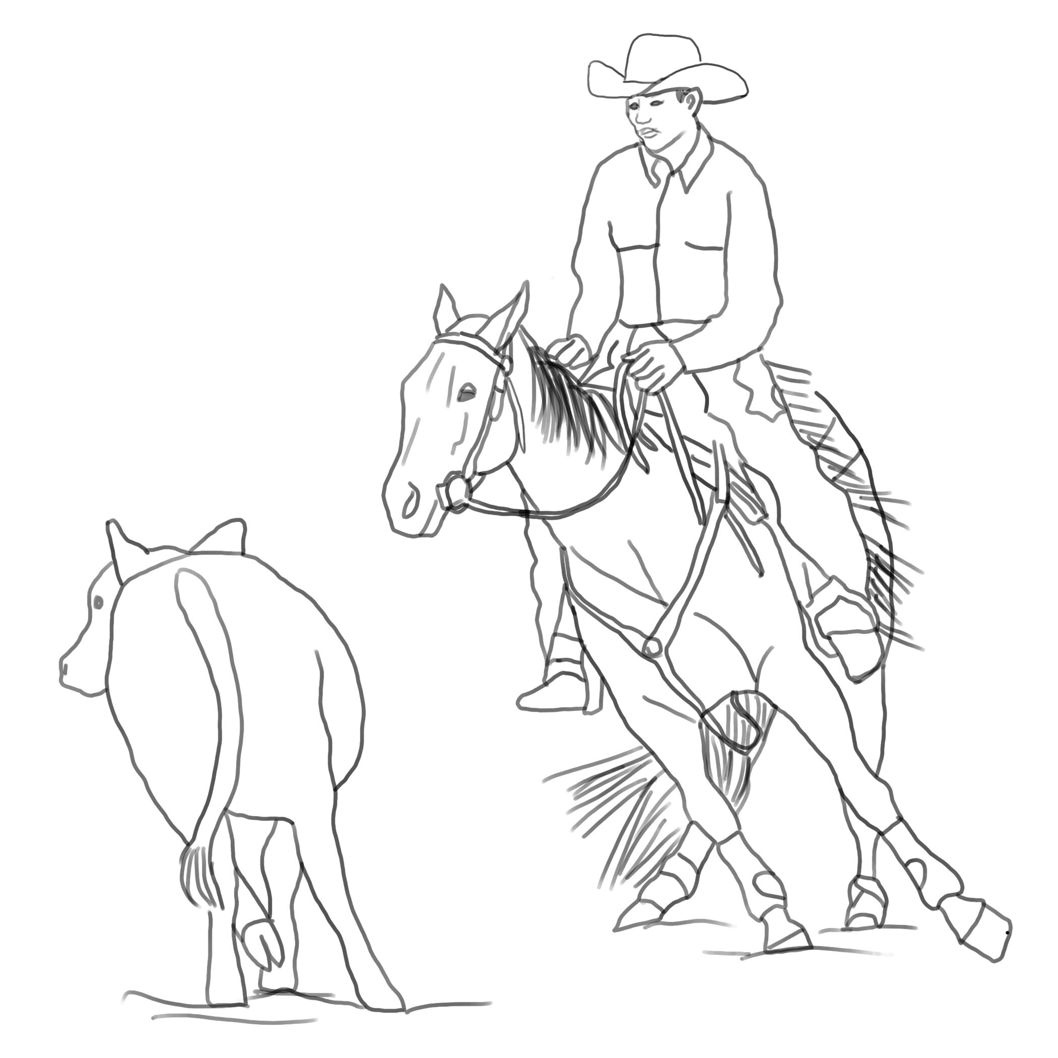 Cutting Horse and Cow, Cutting Horse Drawing, Horse and Cow, Cowboy