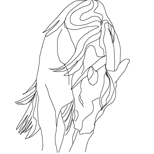 Line drawing horse, horse head, quarter horse, digital horse drawing digital line drawing equine drawing