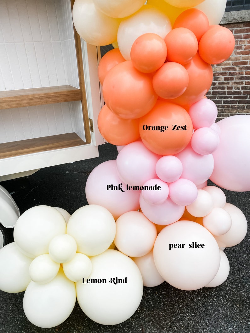 Balloon Garland Kit for Bridal Shower Balloons for Baby Shower Balloons Arch Main Squeeze Bridal Shower Colorful Balloons DIY Balloons image 2