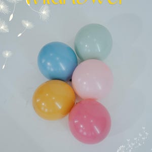 Wildflower Balloons Wild One Balloon Kit Floral Balloons, Baby In Bloom, Spring Meadows, Wildflower Party, Pink Balloons
