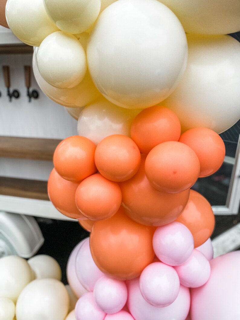 Balloon Garland Kit for Bridal Shower Balloons for Baby Shower Balloons Arch Main Squeeze Bridal Shower Colorful Balloons DIY Balloons image 3