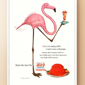 Cartel publicitario vintage de gelatina de flamenco rosa