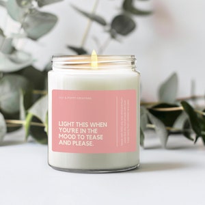 Light This To Tease and Please Candle, Kinky Candle, Dark Valentine Candle, Rude Candle, Inappropriate Gift, Sarcastic Gifts, Christmas Gift