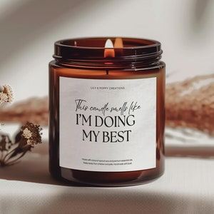 Doing My Best Candle, Funny Candle, Joke Candle, Rude Candle, Sarcastic Gifts, Gift for Her, Gift for Friend, Funny Motivational Gift