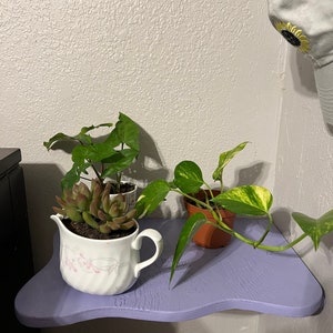 May include: A purple shelf with a wavy edge holds three potted plants. A succulent is in a white ceramic pitcher, a green plant is in a small white pot, and a trailing plant with variegated leaves is in a brown pot.