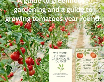 Winter Tomato Greenhouse Growing Guide - Beginner Friendly