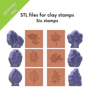 Puede incluir: Seis archivos STL de impresora 3D para sellos de arcilla con diseños botánicos. El conjunto incluye impresiones de varias hojas y bayas, con el texto 3D Printer files, STL files for clay stamps y Six stamps.