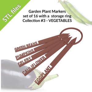 May include: A set of 16 brown plastic garden plant markers with a storage ring. The markers are labeled with the names of vegetables: Green Beans, Pumpkins, Celery, Cauliflower, and Eggplant.  STL files.