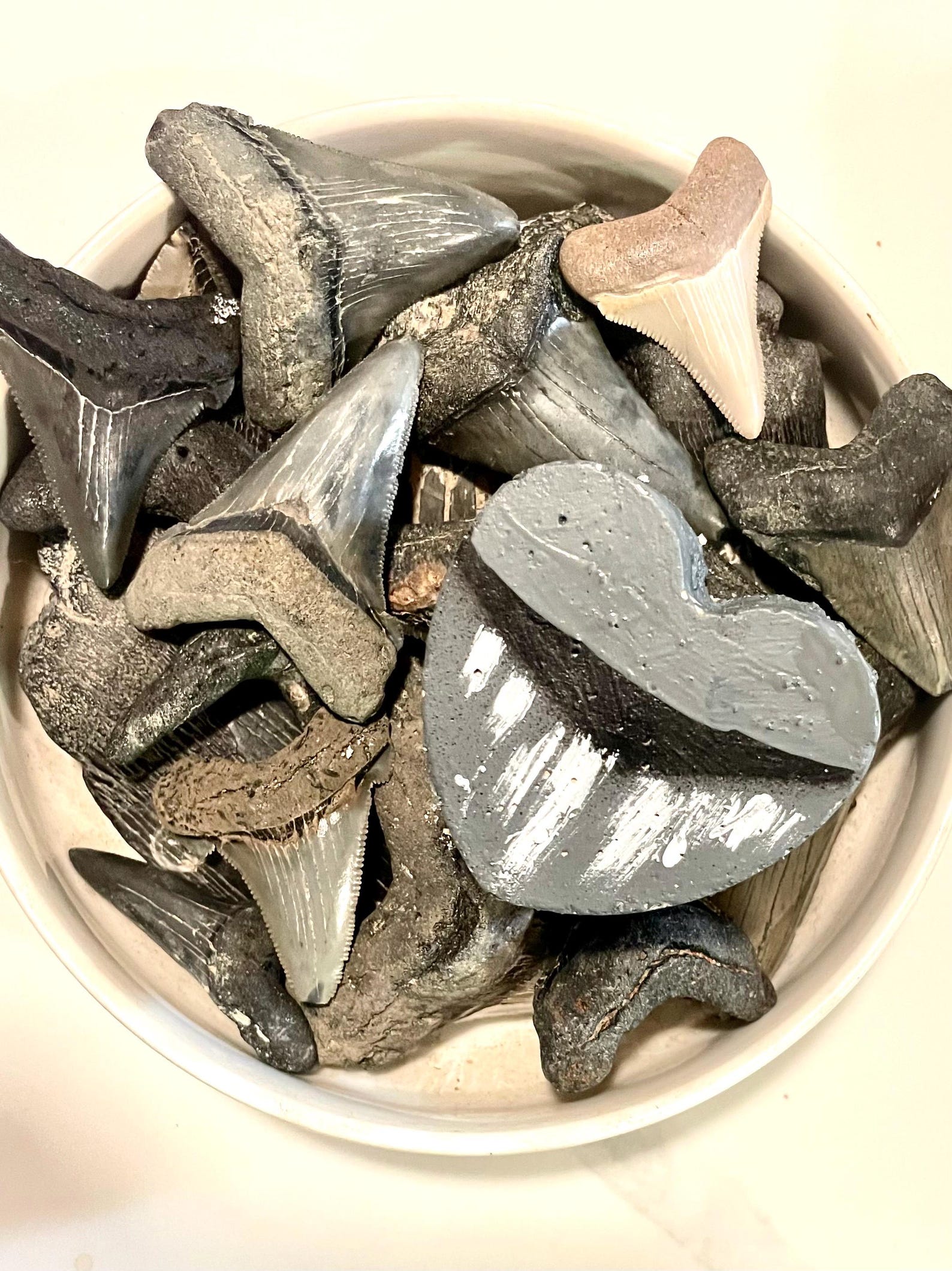 Shark Tooth Dig Kit- DIY Architectural Dig Activity (set of Two) - Etsy