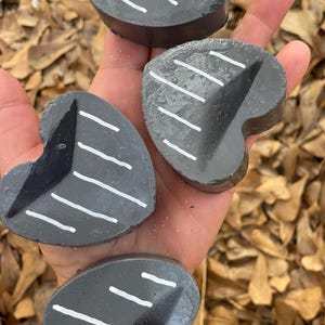 Shark Tooth Dig Kit- DIY architectural dig activity (Set of two)