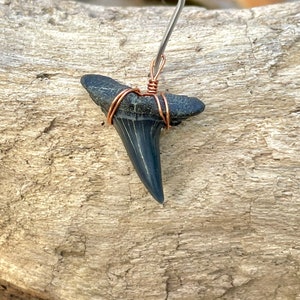 Mako Shark Tooth Pendant