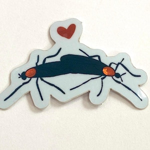Lovebug Fuggbug Sticker