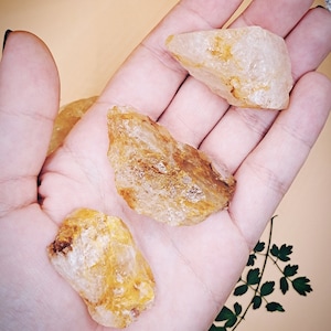 Puede incluir: Tres cristales de citrino sin pulir, en bruto, de color amarillo, en varias formas y tamaños. Los cristales son translúcidos y tienen un color amarillo claro.