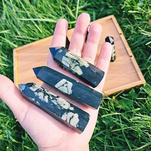 May include: Three black and white speckled crystal points, also known as dalmatian jasper, are arranged on a hand. The points are approximately 2-3 inches in length.