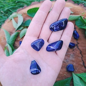 May include: A collection of polished, dark blue sodalite stones with white markings. The stones are in various shapes, some smooth and others more faceted. The background features a wooden surface and green foliage.