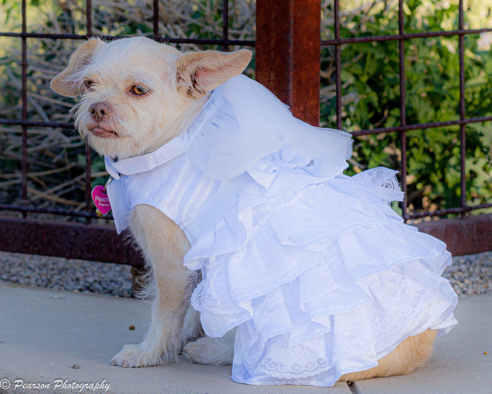 Dog Harness Dress 3D Flower Dog Dress Tutu Dog Dress White 