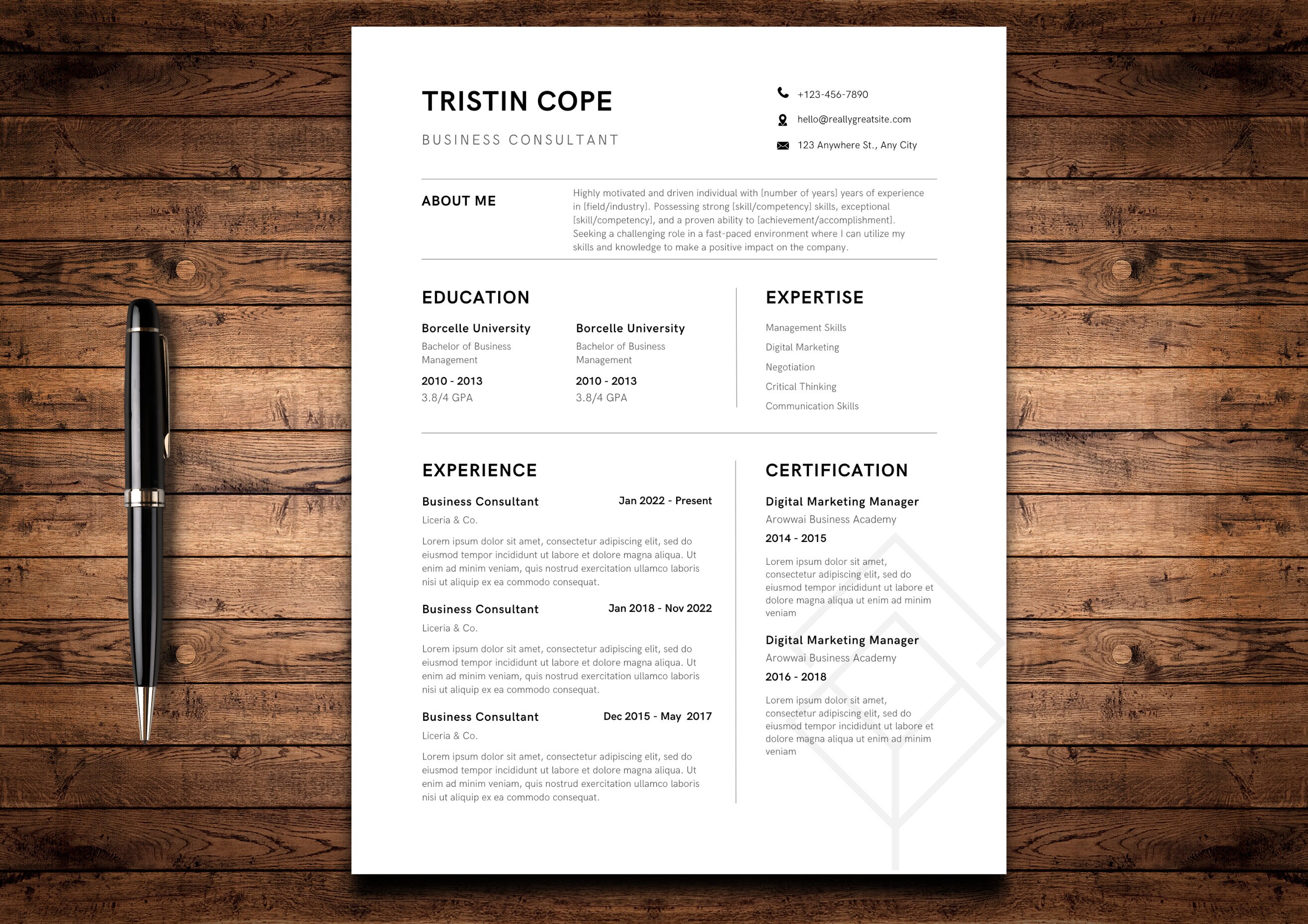 Clean, Executive Resume Template 2023, Modern CEO Resume Template for ...