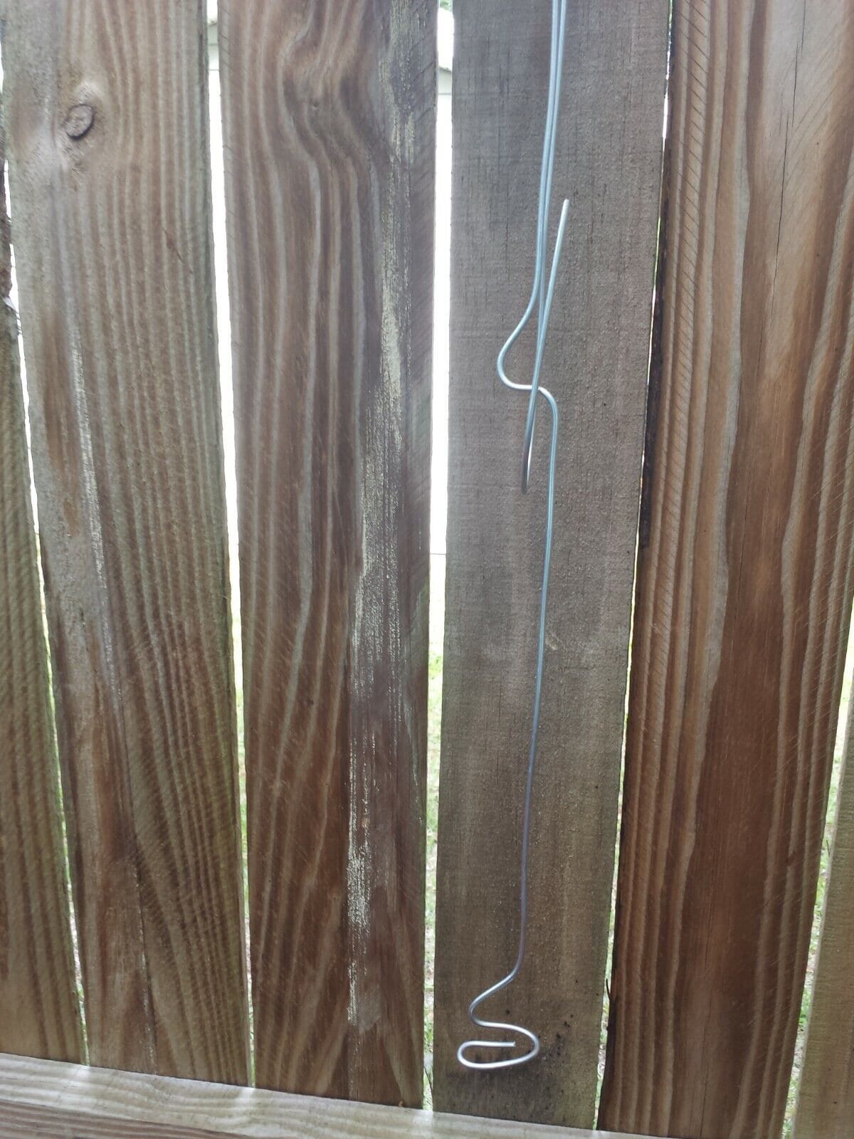 Orchid Vanda Wire Hanger Adjustable Length 22 36 No Basket Etsy