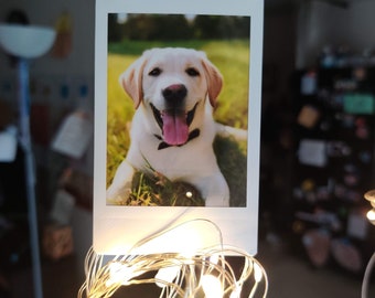Custom Instax Mini Photo Prints – Vintage or Modern Style